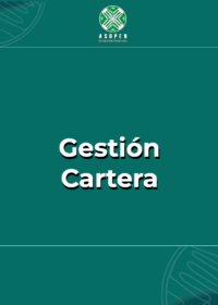 Gestion Cartera_V
