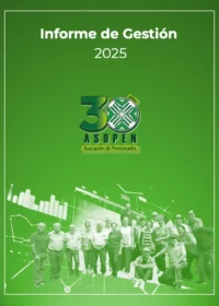 Informes de Gestion 2025